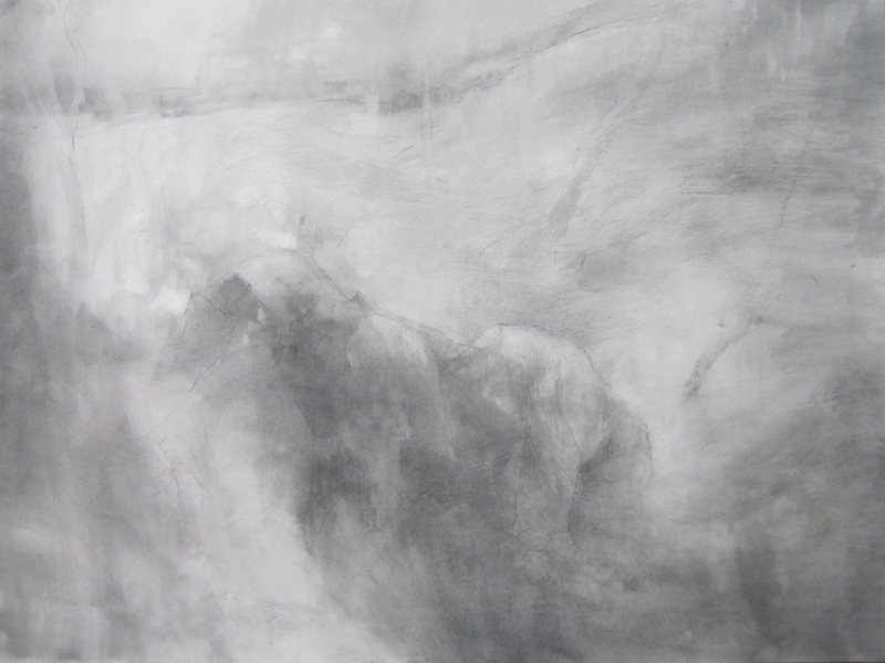 eleventh slide image